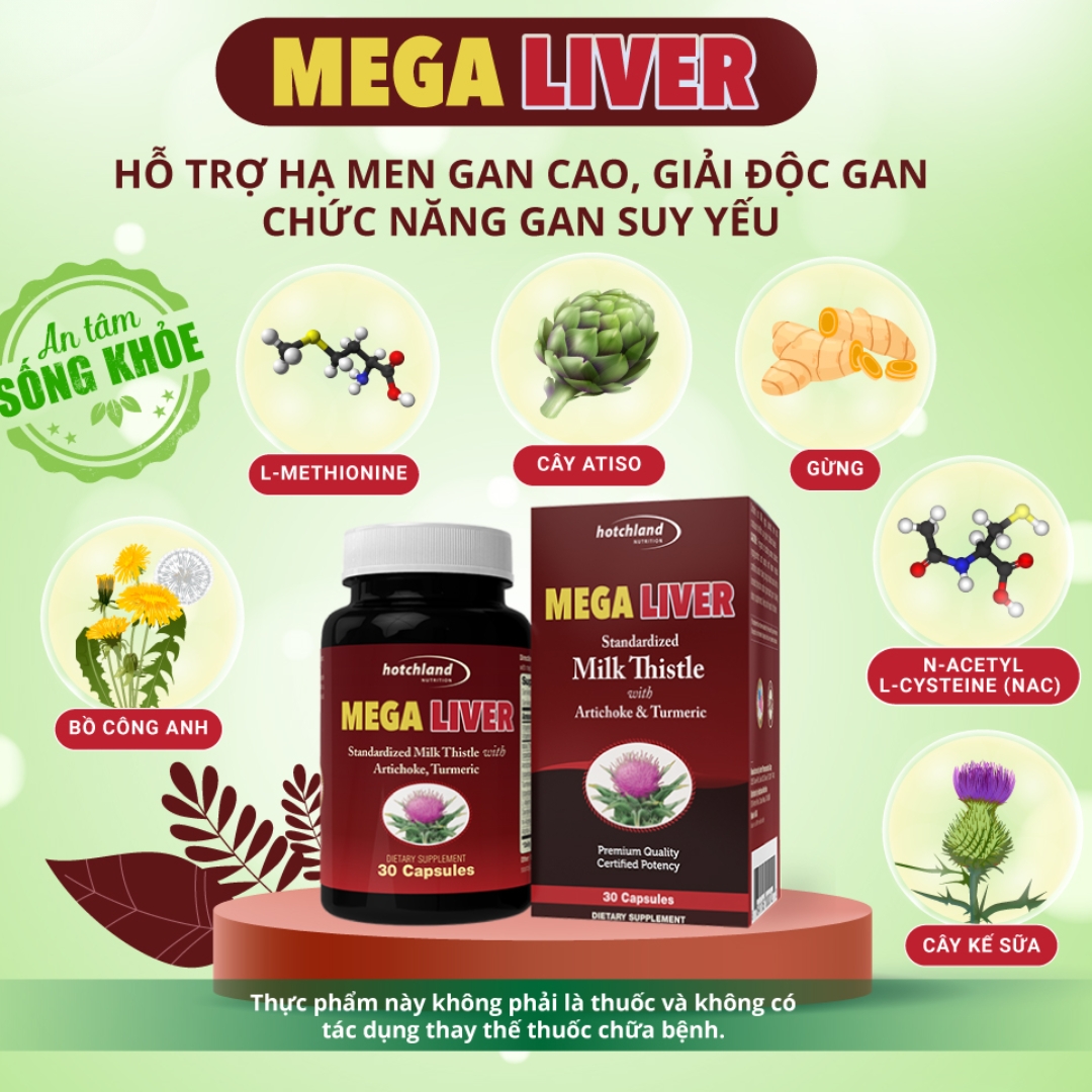 Các loại thuốc trị mát gan chính hãng Mỹ phổ biến nhất trên thị trường năm 2025
